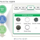 (주)월덱스
