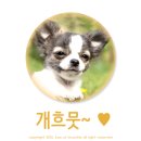 유니헤어 이미지