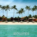 마이투어코리아 이미지