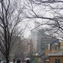 연제롯데공인중개사사무소 이미지