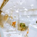 포천시산후조리원 더플라워 산후조리원 가격 할인 이벤트