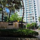 염창동 방충망 일신건영휴먼빌아파트 미세망 교체 후 달라진 점