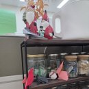 행정 | 남양주 청년 행정체험 후기