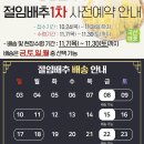 포항농협 하나로마트 티스토리
