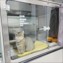 진안동물병원 이미지