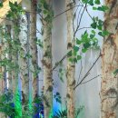 서부흑염소 이미지