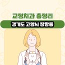 경기도 고양시 장항동 교정치과 총정리
