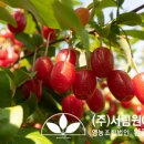 (주)서림개발 이미지