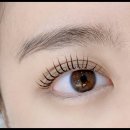 니어앤디어 이미지