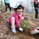 산림청 춘천국유림관리소, 식목일 맞아 나무심기 행사 펼쳐 이미지