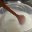 요거트 만들기 ) 직접만드는 하나마이 카스피해 유산균(유산균 종균 배양) -1탄, 유산균만들기