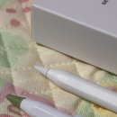 애플펜슬 짭플펜슬 지니비펜슬 내돈내산 후기