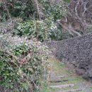 제지기오름 이미지