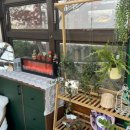 스테이낮선 이미지