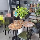 단미청 이미지