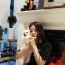 유정집 이미지