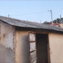 정식축사 이미지