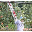 김연화농장 이미지