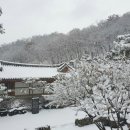 조선 왕가 이미지