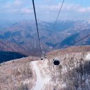 노원-현장-1381 | 정선 가볼만한곳 가리왕산 케이블카 후기(ft. 예약 주차 전망대 일출일몰 케이블카 예약방법)