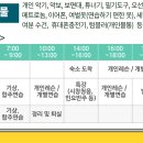 한가락가야금