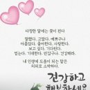 산청렉카 이미지