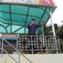 진남초등학교 이미지