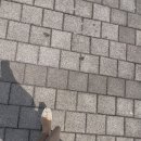 산수살롱 이미지