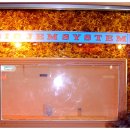 젬바이오 이미지