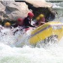 반딧불민박 이미지