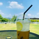 논산애견 이미지