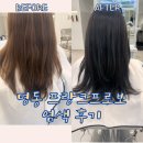 명동역) &lt;프랑크프로보명동&gt; 톤다운 염색후기/ 두피클리닉