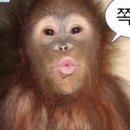 데이투 이미지