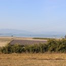 남해섬공인중개사사무소 이미지