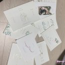W-17 | [W : 17] 청첩장 샘플 후기/바른손카드/보자기카드/디얼디어/봄카드/잇츠카드/바른손 마가렛 청첩장