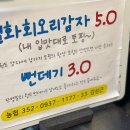 강릉월화거리 이미지