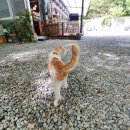 복주경매장 이미지