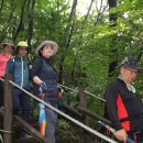 완산초등학교 이미지