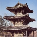 금당 Daum카페