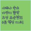 HOTEL Unity(호텔 유니티) | 스톡홀름 아레나 인접 도심 접근성 좋은 가성비 숙소 6곳 비교 후기