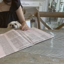 군장카피타운 이미지