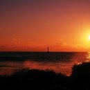 금구농장 이미지