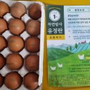 나온농장 이미지