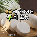 산삼에 버금가는 무의 효능 이미지