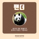 한국체형미 이미지