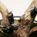 수서농장 이미지