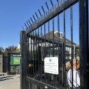 윔블던 | 2025 윔블던 직관 실패 후기/ 윔블던 큐잉