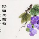 포도 그리기 / Chinese Painting 이미지