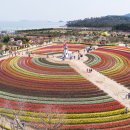 서해당구장 이미지