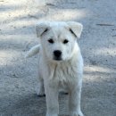 거제시둔덕면화도보건진료소 | 거제 섬여행 둔덕면 화도 트레킹